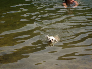 Ruby-.2