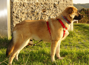 SONY DSC