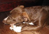 Rusty3