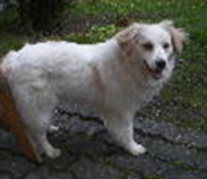 Sammy1