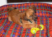 Sammy2