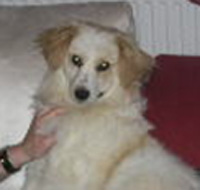 Sammy2