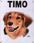 Timo-