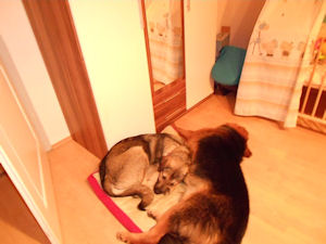 Toby und Hetty1