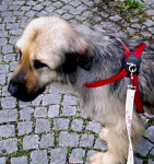 Toka heute