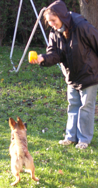 SAMSUNG DIGITAL CAMERA