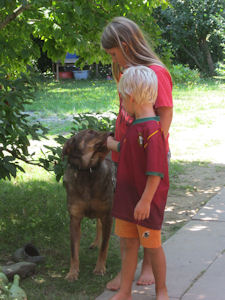 Wilson.-4