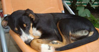 Zoe2