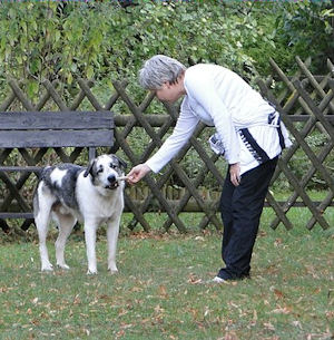 fido (1)